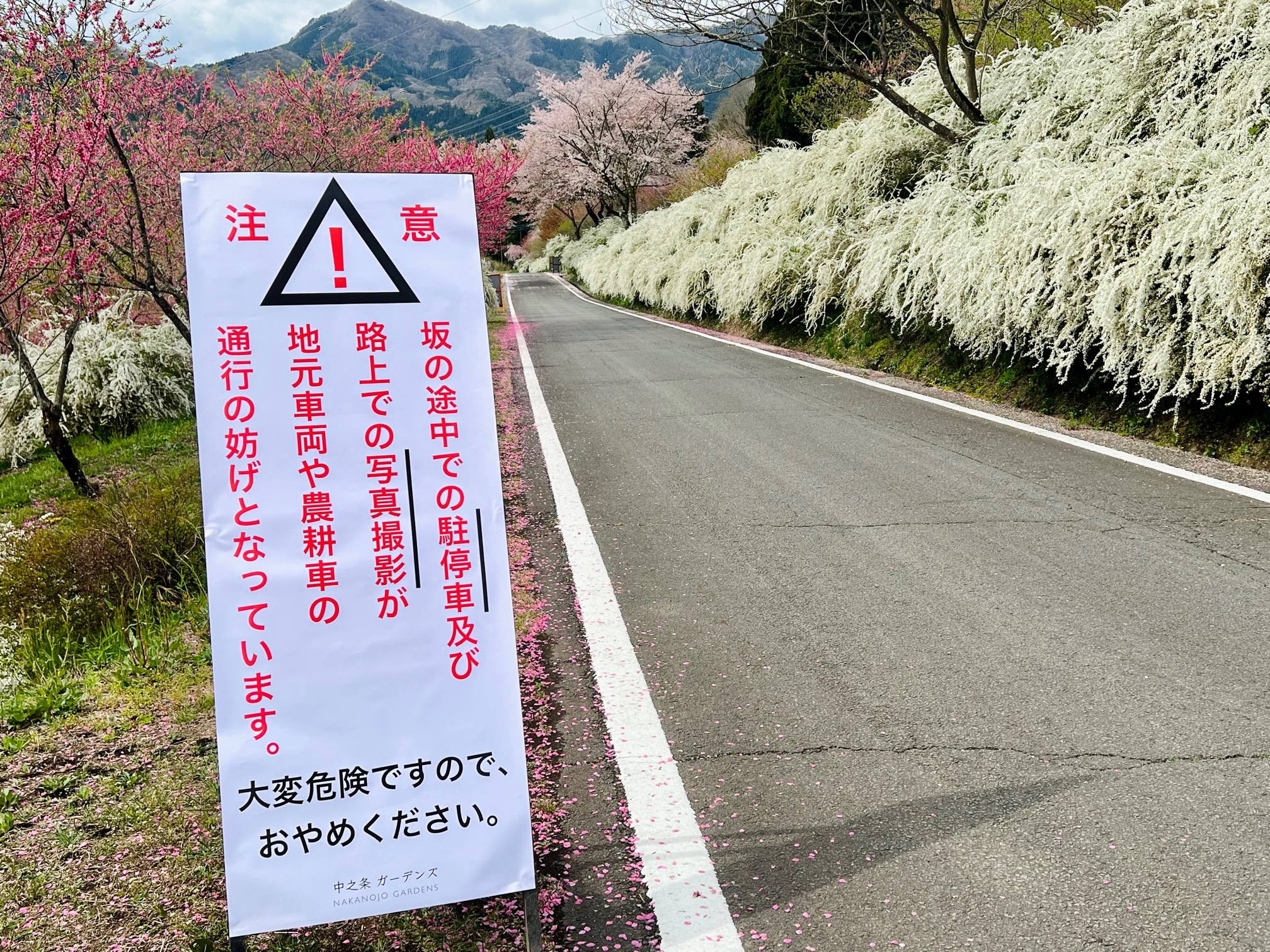 花桃の丘上の道路、駐停車ご遠慮くださいの看板