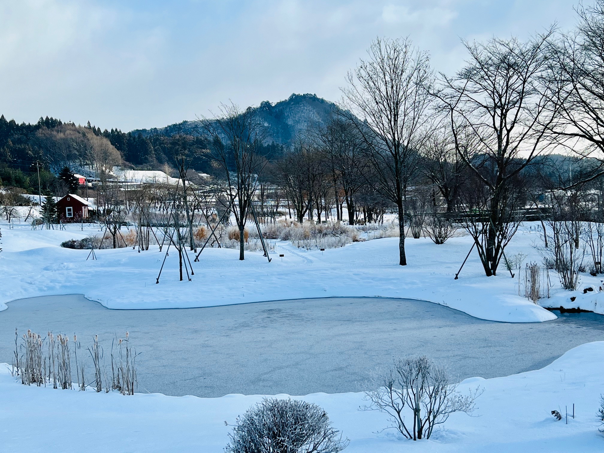 雪ののぞり池