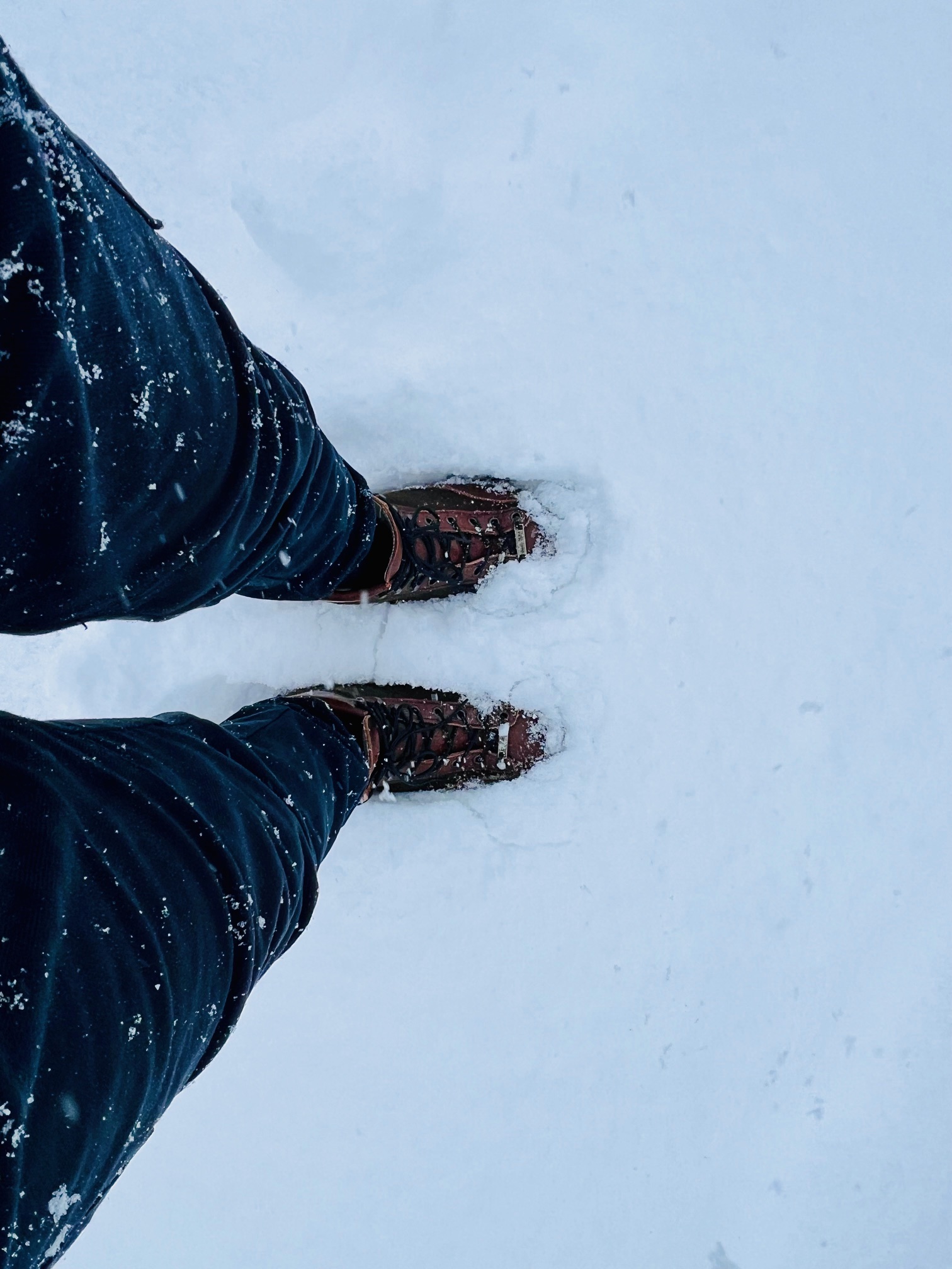 雪に埋まる靴