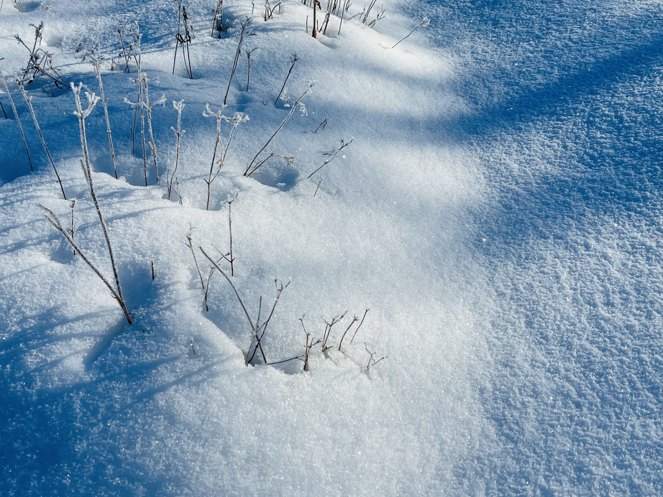 雪の様子足元の写真