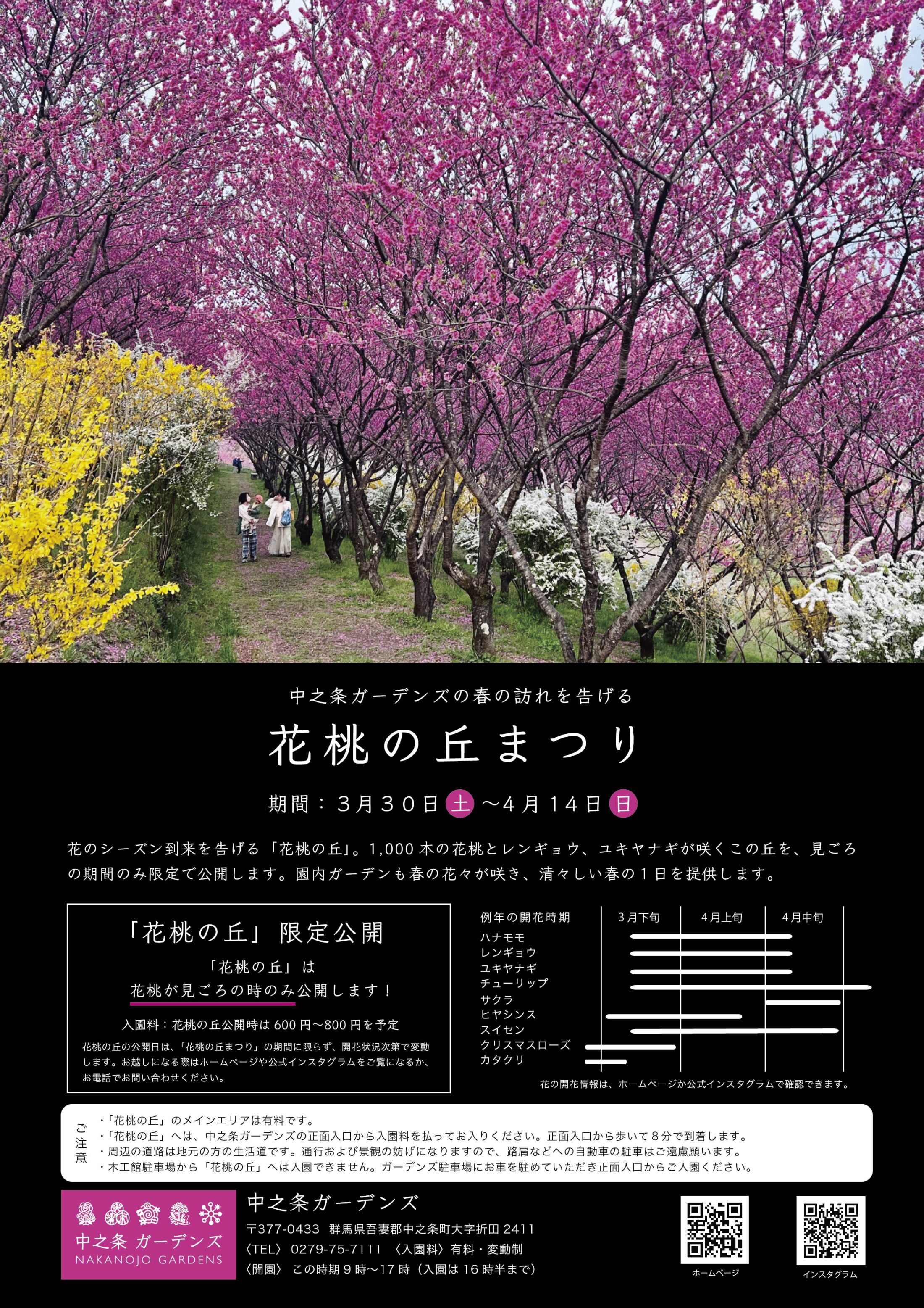 3月30日より「花桃の丘まつり」を開催します いよいよ花の季節の