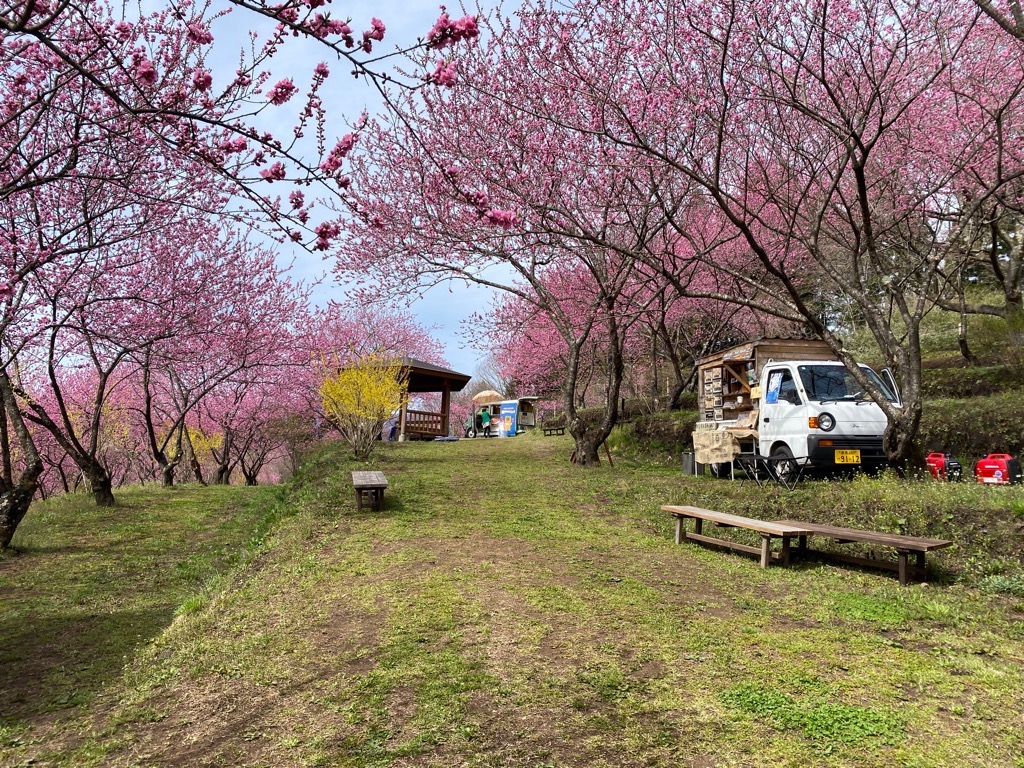 花桃の丘キッチンカー