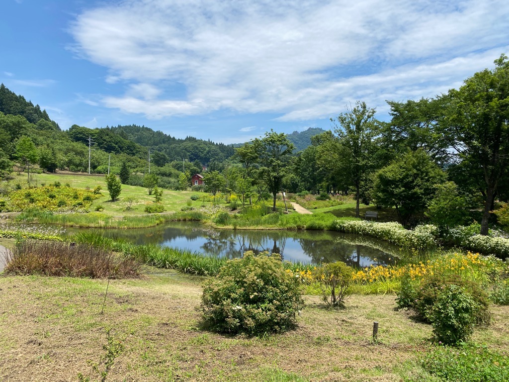 ふる里の野山