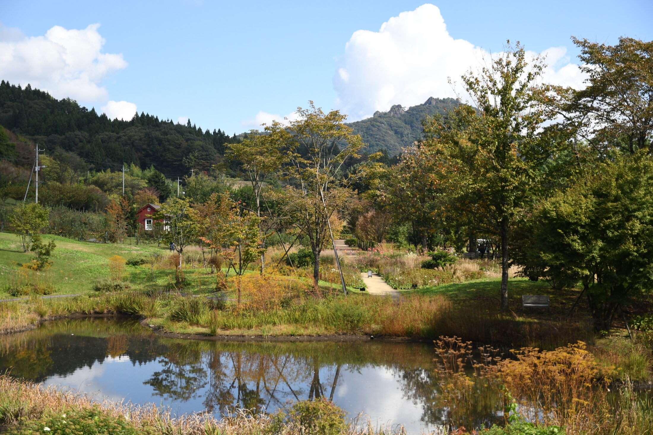 ふる里の野山