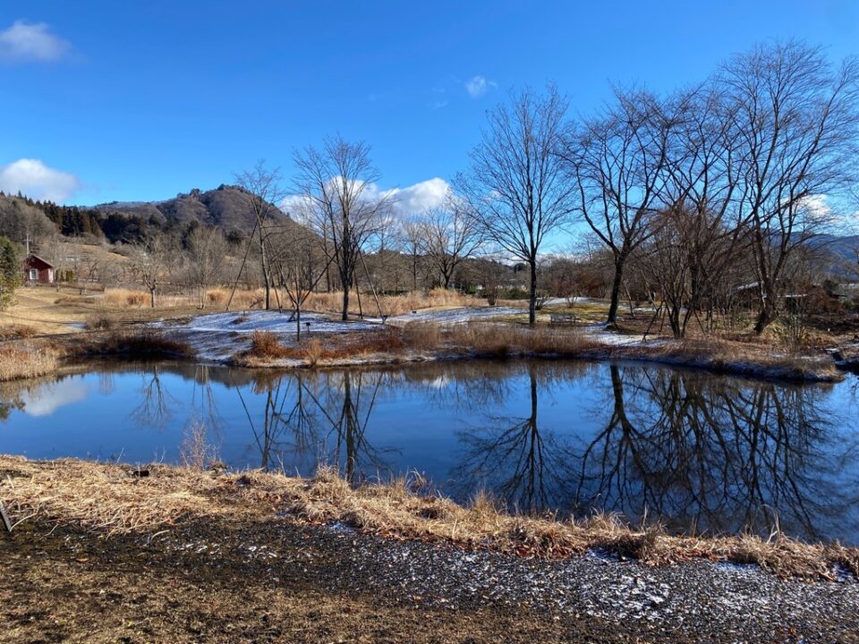 ふる里の野山