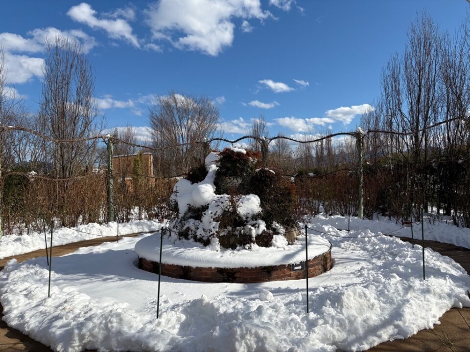ローズガーデン雪
