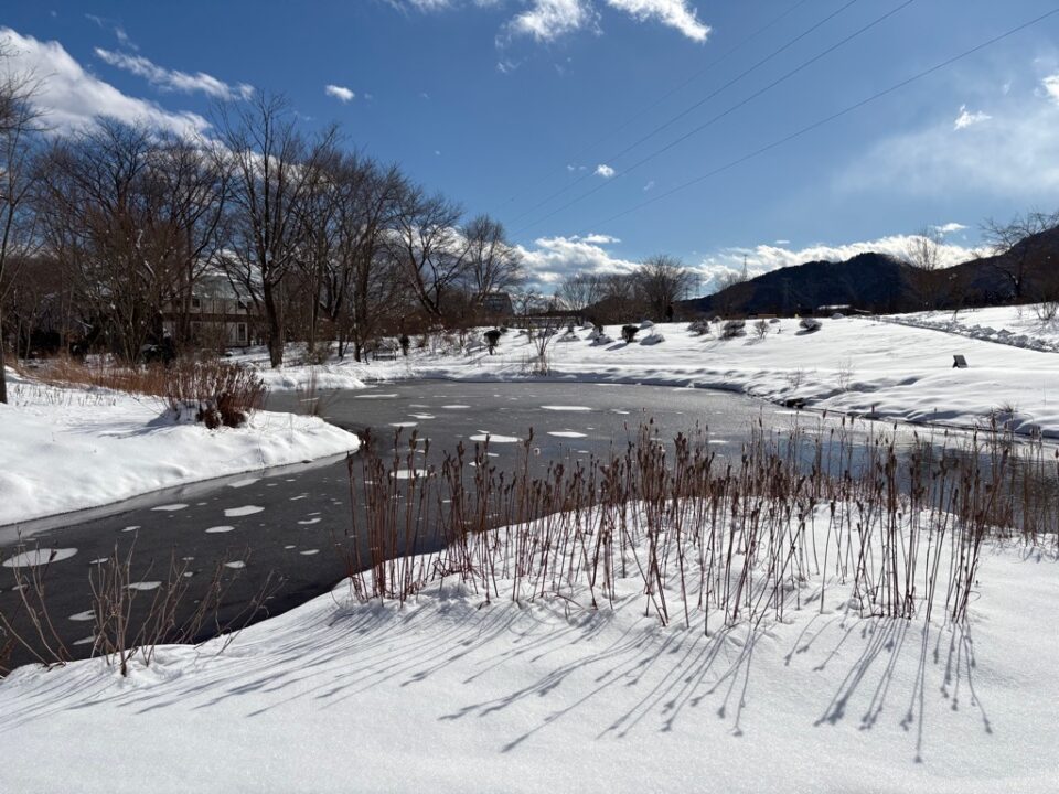 ふる里の野山雪