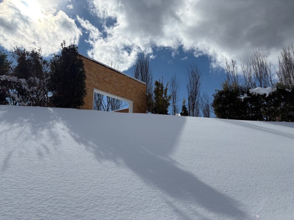 ローズガーデン雪